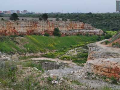 Da questo punto in poi non si potrebbe proseguire, ma decidiamo comunque di avventurarci in avanti costeggiando un alto muro di cinta e inoltrandoci nella campagna. Solo in questo modo riusciamo ad ammirare dall�alto le rosse pareti rocciose di una delle due cave di pietra in disuso dove sono state rintracciate le orme di dinosauro (foto di Nicola Imperiale)